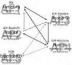Systemanalyse neugotischer Gewölbe - Teil 1: Voruntersuchungen und experimentelle Validierung