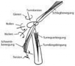 Wind power plants: Planning procedure using the example of a system with savonius rotor