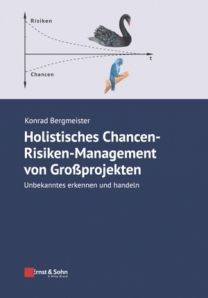 Holistisches Chancen-Risiken-Management von Großprojekten