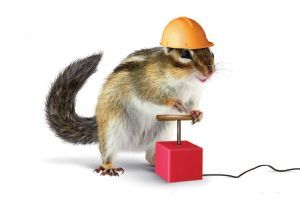 Probeheft kostenfrei